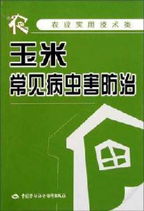 玉米常見病蟲害防治 玉米常見病蟲害防治