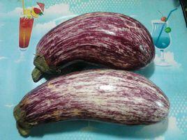 安其拉花茄子 安其拉花茄子