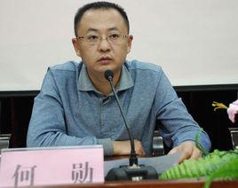 何勛[成都市龍泉驛區委書記]