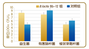 活性益生菌&益生元