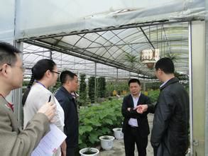 張大林在農業園區現場聽取管委會主任劉茂雄匯報