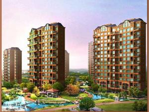 德天水映綠洲 德天水映綠洲