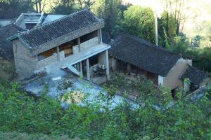 新華自然村 新華自然村