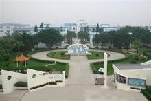 橋頭鎮中心國小