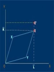雷布津斯基定理 雷布津斯基定理