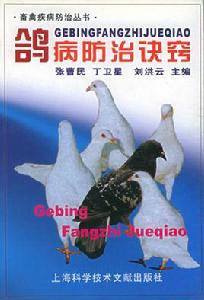 鴿病防治訣竅 鴿病防治訣竅
