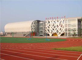 武漢市光谷第八國小 武漢市光谷第八國小