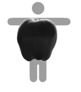 蘋果型胖人 蘋果型胖人