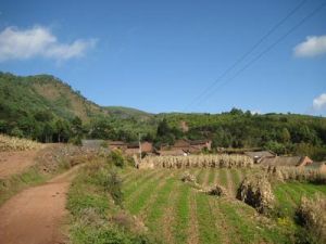 上扯嘎自然村 上扯嘎自然村