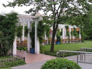 蔓趣公園 蔓趣公園