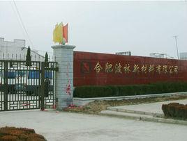 合肥波林新材料有限公司 合肥波林新材料有限公司