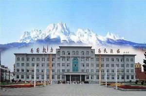 泉陽林業局 泉陽林業局