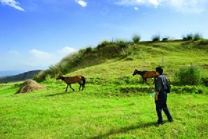齊勒烏澤克鄉 齊勒烏澤克鄉