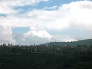 樹金崗村 樹金崗村