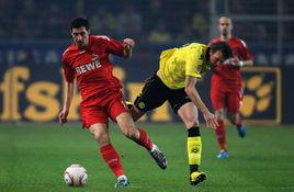 佩科維奇 佩科維奇