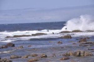 大西洋-印度洋海盆 大西洋-印度洋海盆