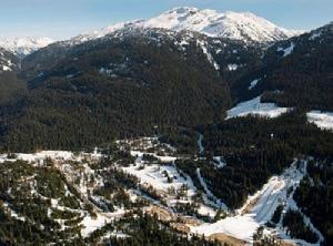 惠斯勒奧林匹克公園 滿眼青松翠柏