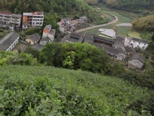 風吹自然村 風吹自然村