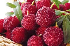 蕭山楊梅 蕭山楊梅