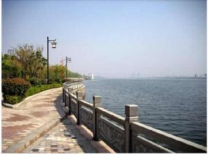 信江櫻花公園 信江櫻花公園