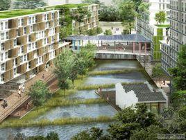 新加坡科技與設計大學