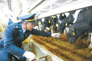 隔離檢疫 隔離檢疫