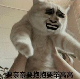 要親親要抱抱要舉高高 要親親要抱抱要舉高高