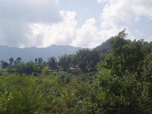 冷硝自然村 冷硝自然村