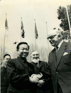 沈平[中國外交官員]