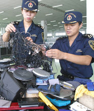 海關查獲的洋垃圾