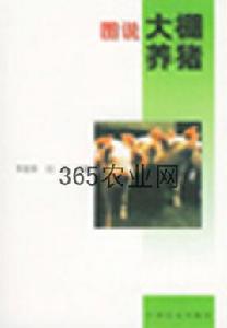 圖說大棚養豬 圖說大棚養豬
