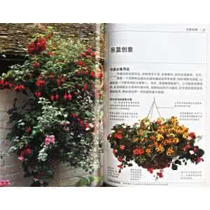 《吊籃花卉彩色圖說》