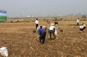那海村[廣西南寧市江南區下轄村]