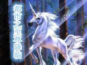 都市之至尊降臨