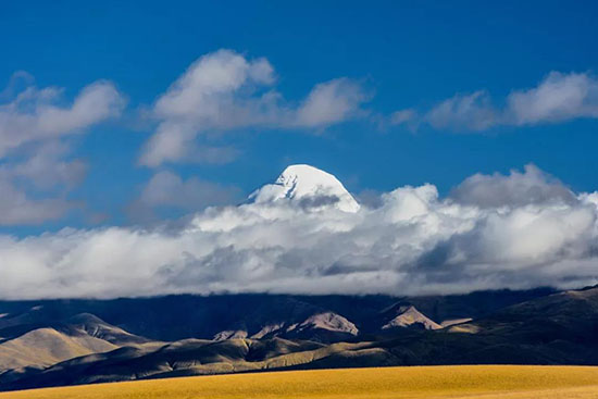 想要辭職的第728天!