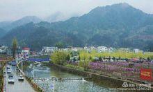 協心村的各組照片