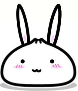 兔小布 兔小布