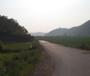 崔莊子村 崔莊子村