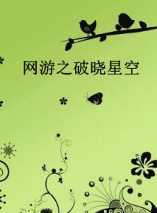 網遊之破曉星空 網遊之破曉星空