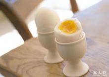 蛋[卵生動物的卵]