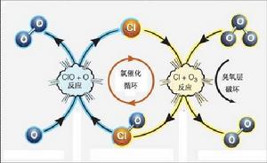 （圖）臭氧形成和破壞機理圖