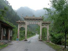 浙南箬寮原始林景區