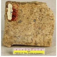 複式岩體 複式岩體