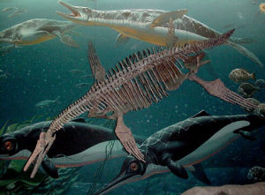 雙臼椎龍 雙臼椎龍