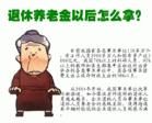 養老金制度之弊