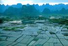 桂林地區水田
