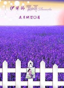 伊犁的薰衣草 伊犁的薰衣草