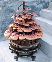 泰山“燕子石” 泰山“燕子石”