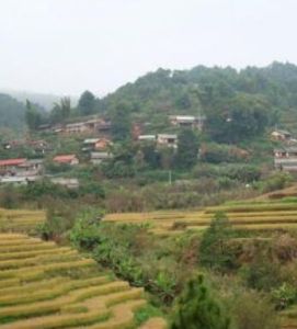 壩子寨自然村 壩子寨自然村