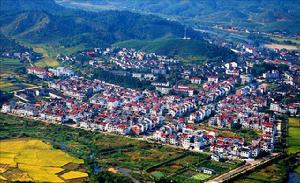 星村鎮[福建省武夷山市星村鎮]